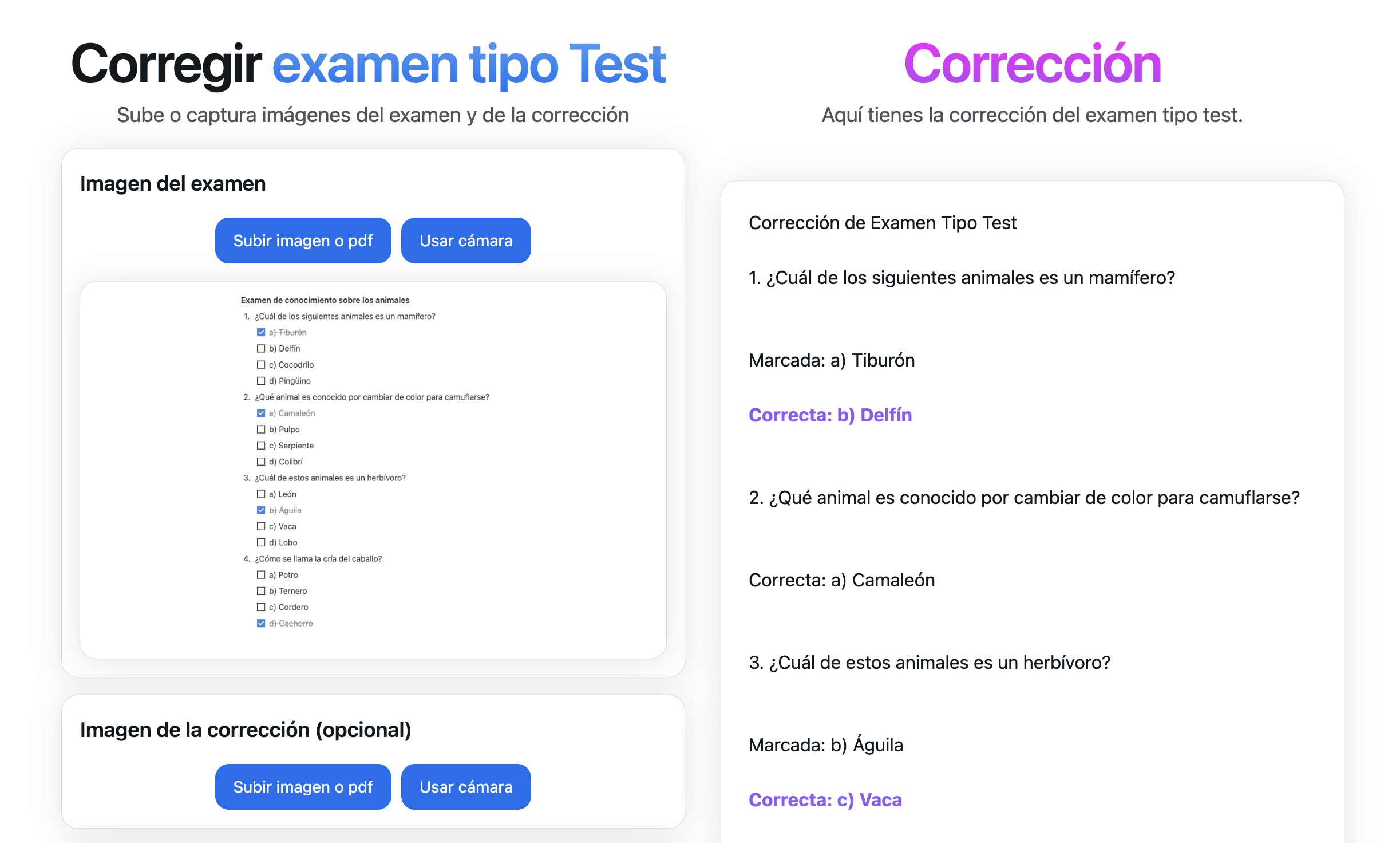 Vista previa de corrección tipo test